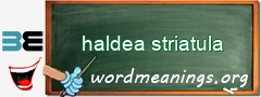 WordMeaning blackboard for haldea striatula